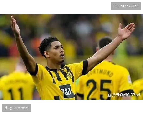 德甲新赛季阵容巨变，强队洗牌格局重塑引关注