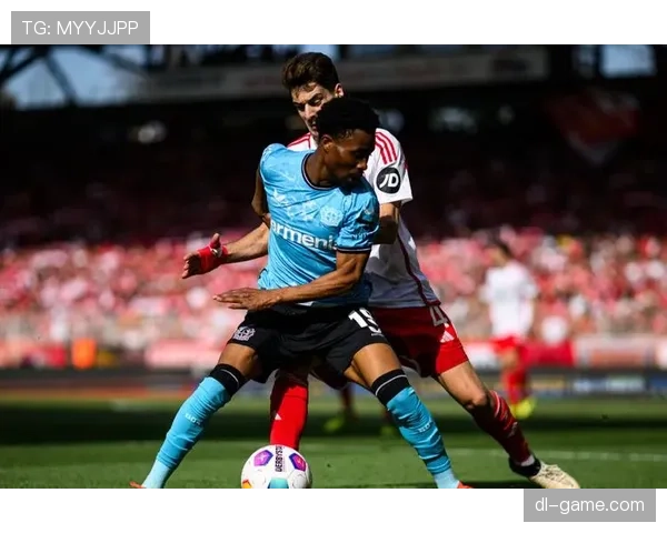 维尔茨大赛表现稳定性分析